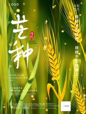 芒种芒种海报二十四节气