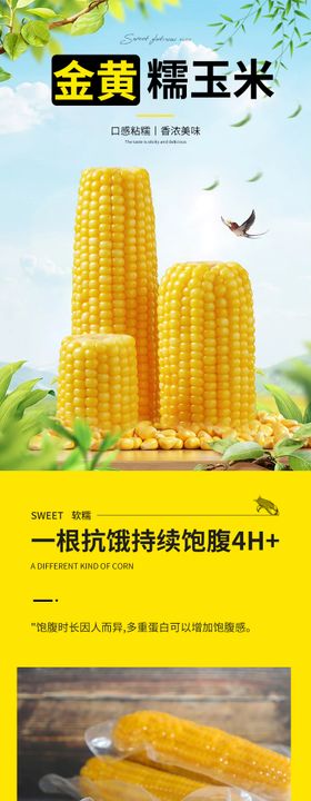 湖北彩糯玉米推广图