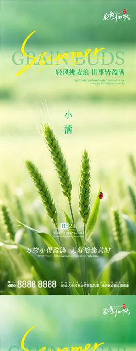 地产小满芒种二十节气手机刷屏系列海报