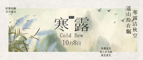 二十四节气寒露长图宣传微推海报