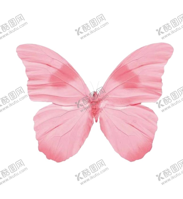 编号：35508802162248218965【酷图网】源文件下载-数码印花