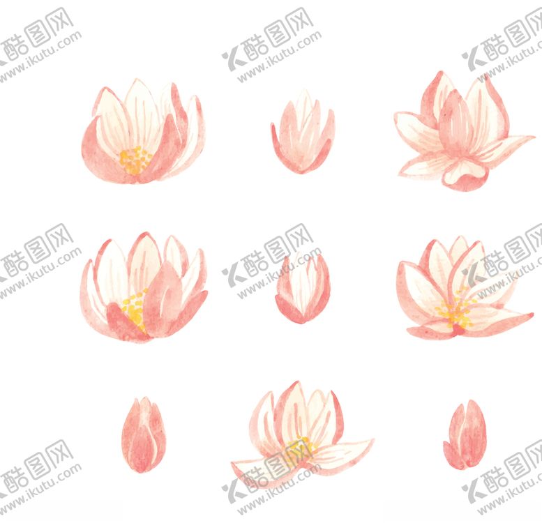编号：54369606261222389971【酷图网】源文件下载-水彩手绘荷花