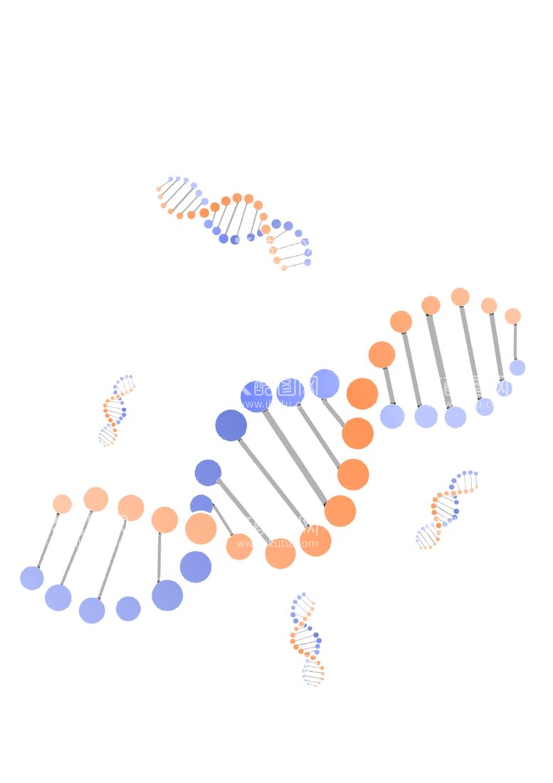 编号：60253412220927074289【酷图网】源文件下载-生物基因 