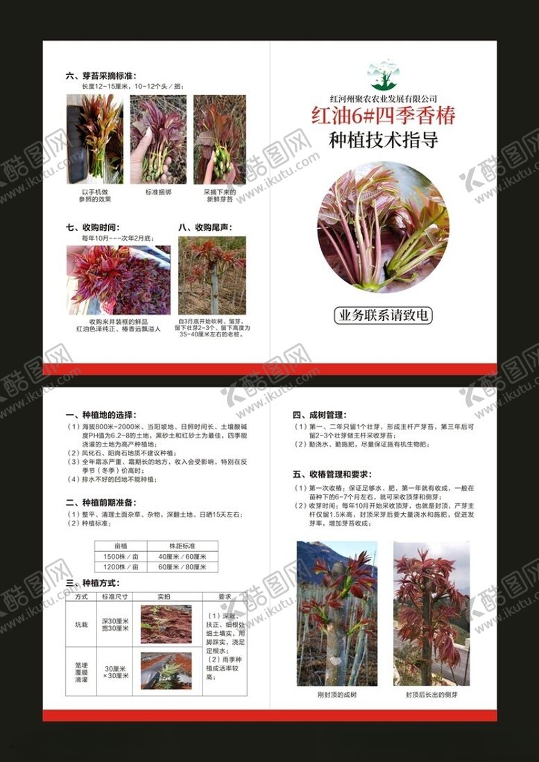 编号：33280209252031579998【酷图网】源文件下载-城市旅游宣传折页