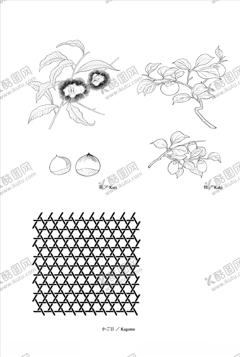 编号：47738009131026107625【酷图网】源文件下载-线描柿子