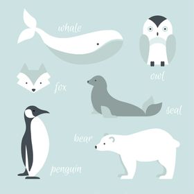 可爱动物矢量插画