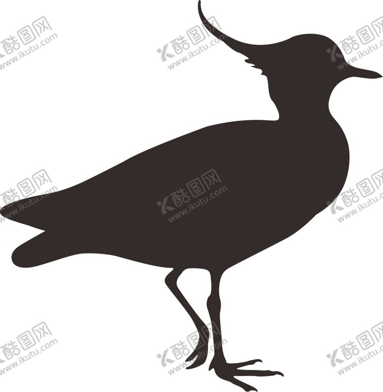 编号：35375304260730478682【酷图网】源文件下载-鸟剪影