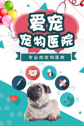 宠物医院促销活动宣传海报素材