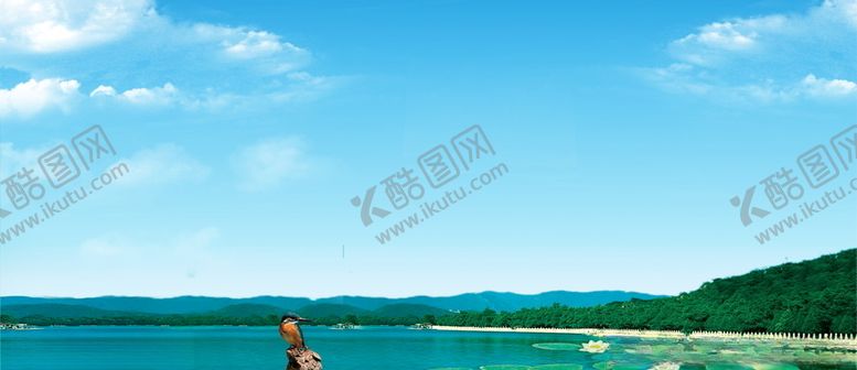 编号：16374405050646263543【酷图网】源文件下载-荷花背景