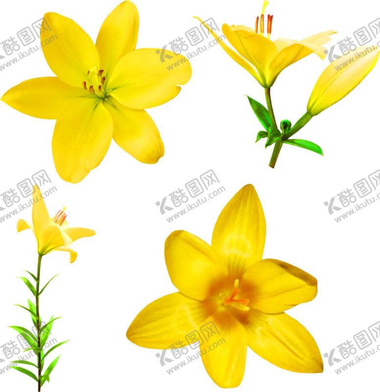 编号：57649109192244379277【酷图网】源文件下载-浪漫素材