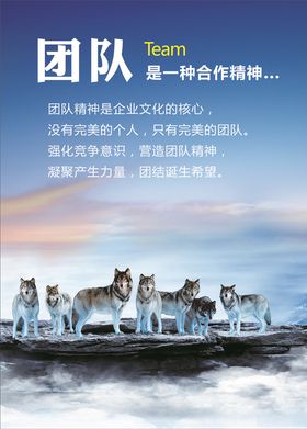 团队