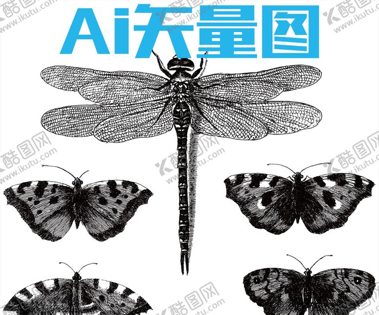 编号：98891106231525176454【酷图网】源文件下载-蝴蝶蜻蜓
