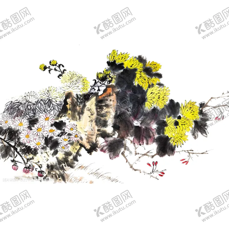 编号：72026606261024006926【酷图网】源文件下载-国画菊花