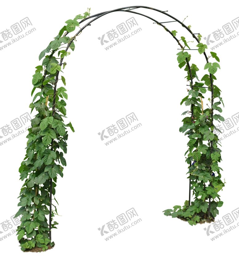 编号：64647402232055015927【酷图网】源文件下载-拱形门绿植装饰