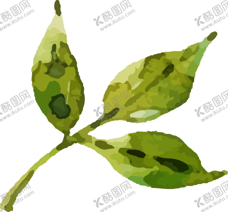 编号：20648404190039405696【酷图网】源文件下载-彩绘花卉
