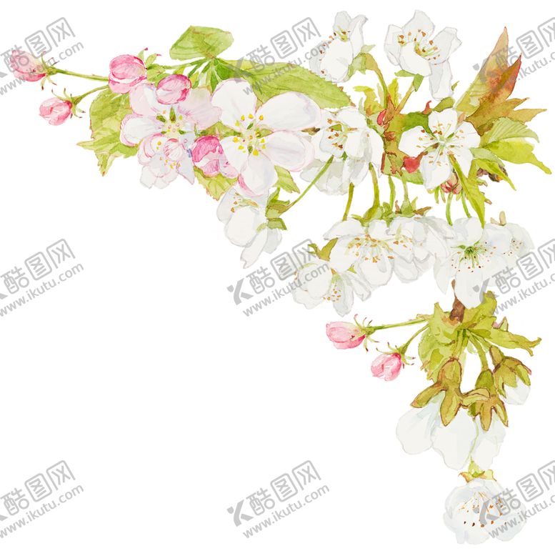 编号：78806607041154263901【酷图网】源文件下载-花边素材