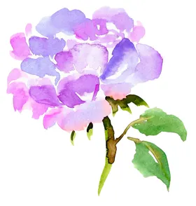 手绘花卉结婚请帖婚礼邀请函园林艺术
