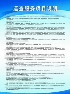 巡查服务项目