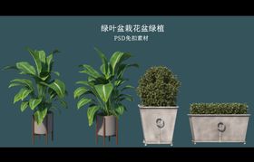 盆栽花盆绿植PSD免扣素材