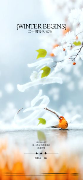 二十四节气立冬海报