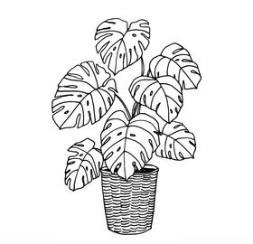 植物手绘白描水果白描树叶花朵白描花