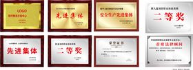 各类荣誉奖牌证书展示