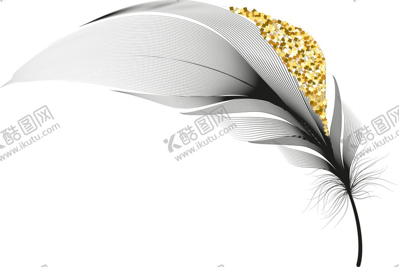 编号：30596602171318055736【酷图网】源文件下载-羽毛 素材