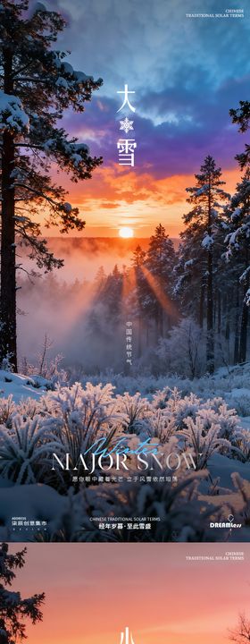 大雪小寒风景摄影简约地产海报