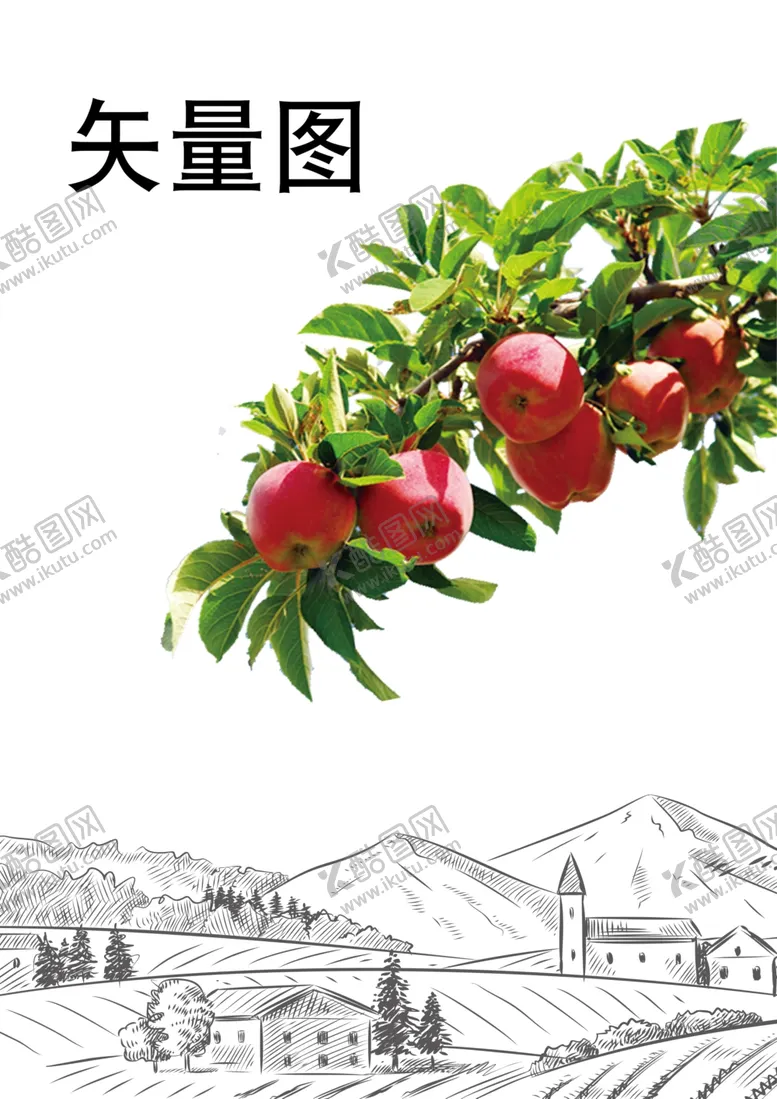 编号：90763509220304447486【酷图网】源文件下载-苹果树矢量图