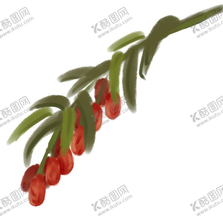 编号：36709110072159590468【酷图网】源文件下载-枸杞