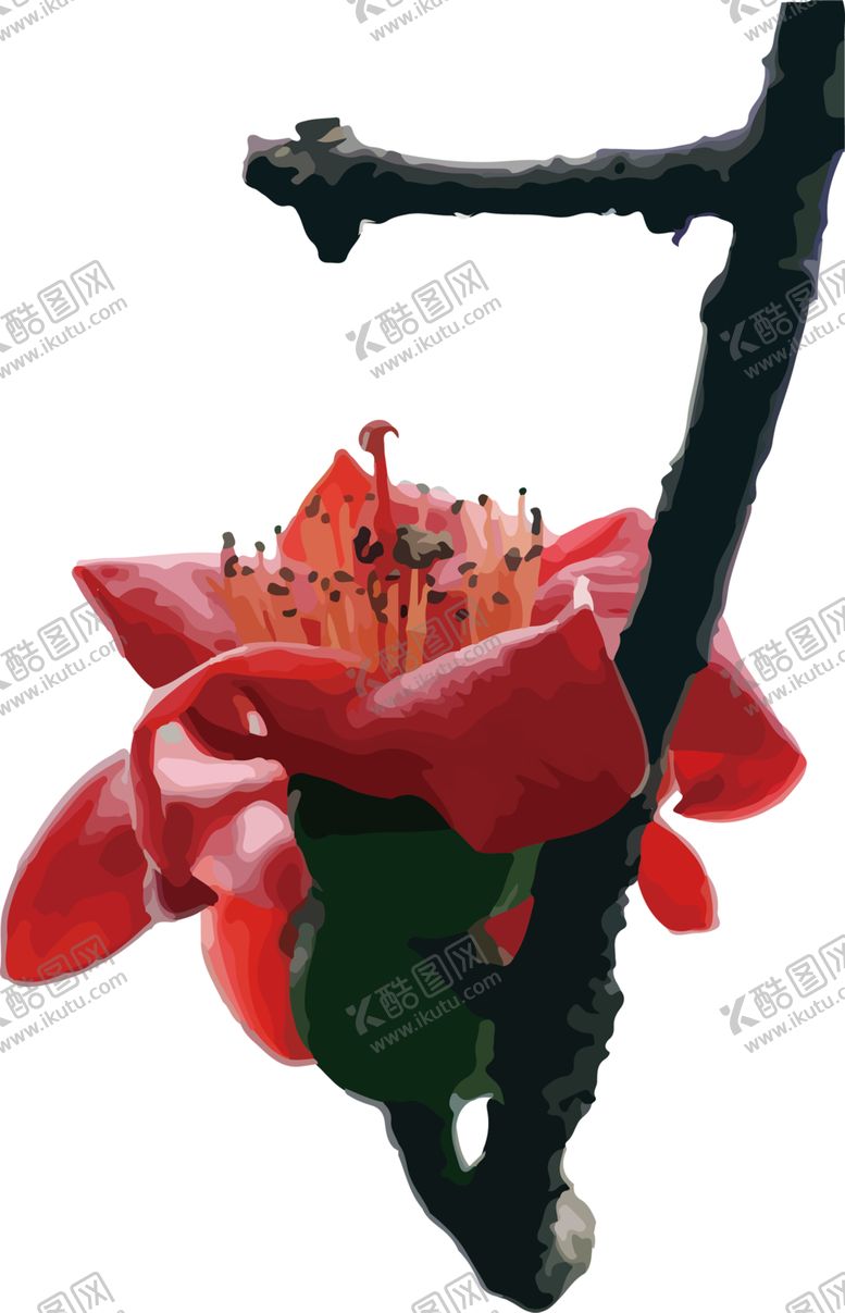 编号：19952905190422546357【酷图网】源文件下载-鲜花素材