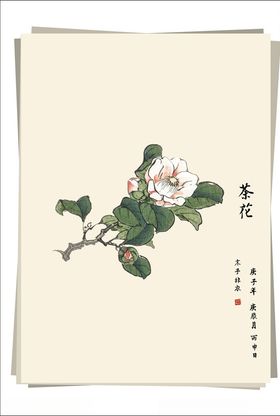 茶花水墨画