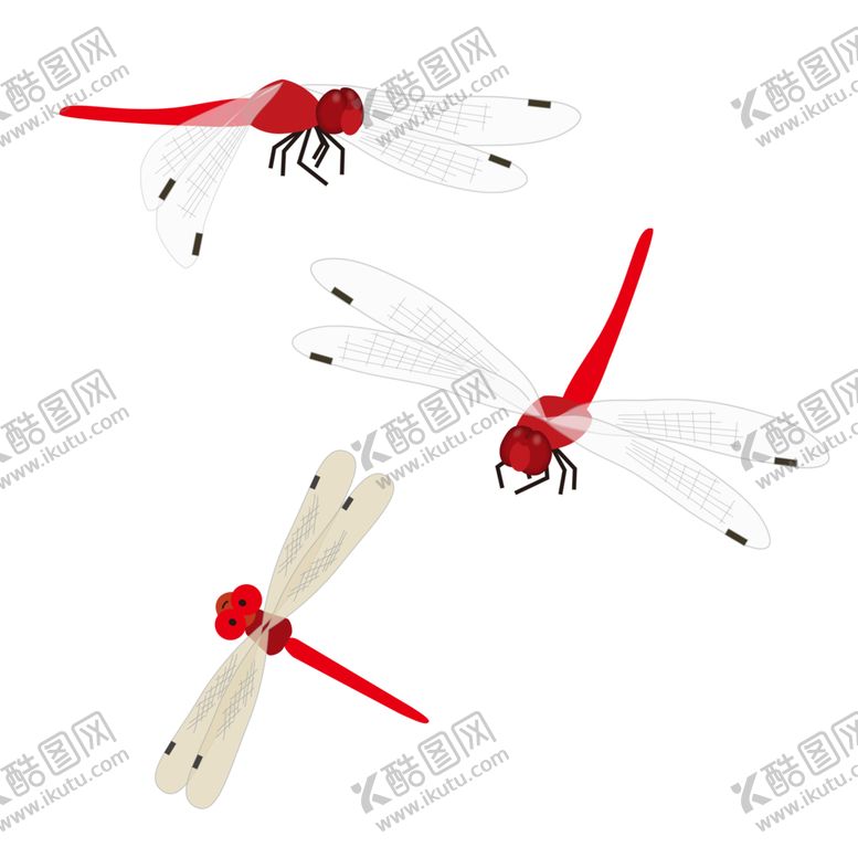 编号：12796905121140136249【酷图网】源文件下载-蜻蜓