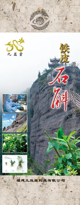 铁皮石斛