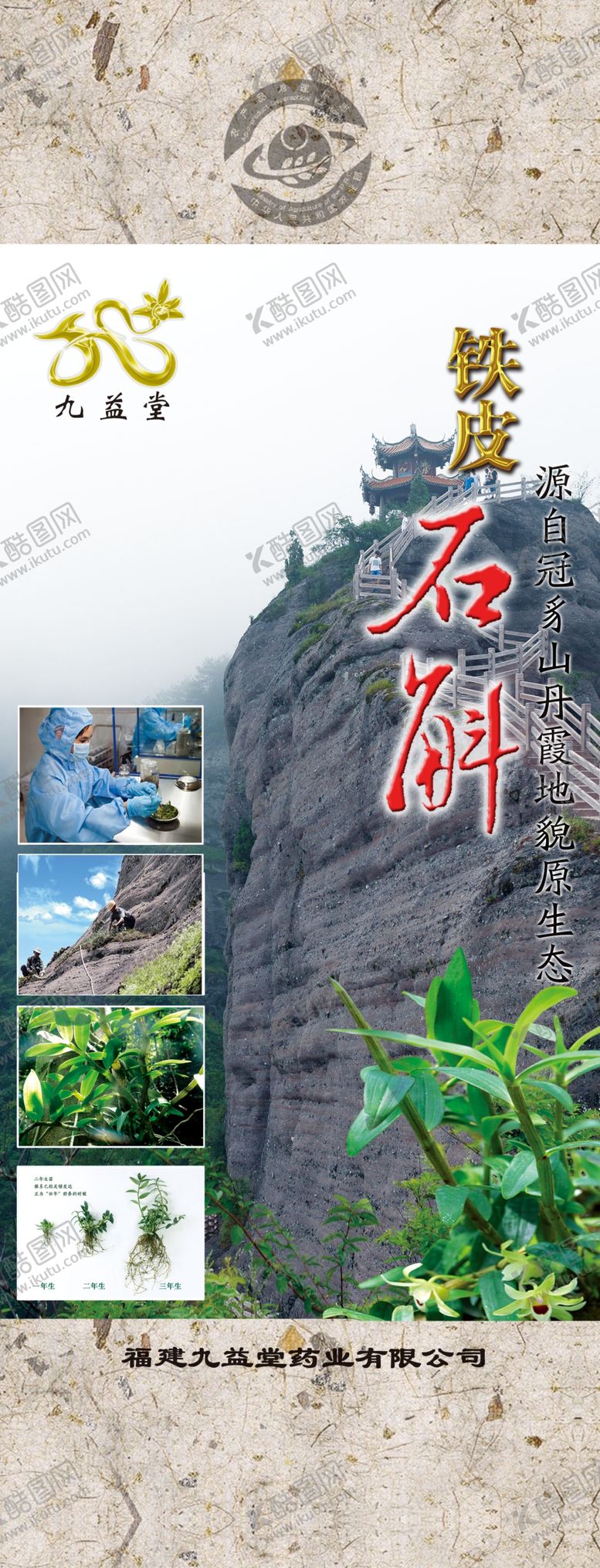 编号：34913310070748124391【酷图网】源文件下载-铁皮石斛