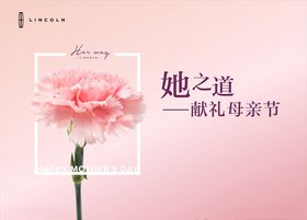 林肯母亲节