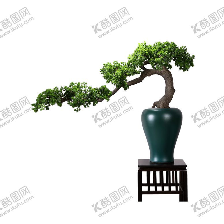 编号：67113709191529434850【酷图网】源文件下载-居家绿色植物枝头夏季装饰素材