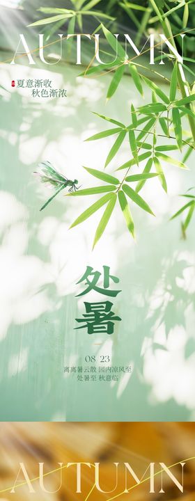 处暑秋分实景节气海报