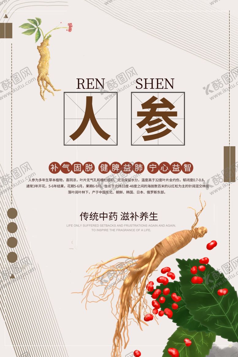 编号：99264009260303044128【酷图网】源文件下载-人参保健品海报