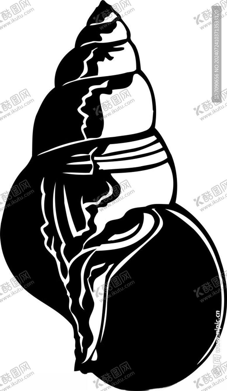 编号：87753402162312483147【酷图网】源文件下载-手绘贝类