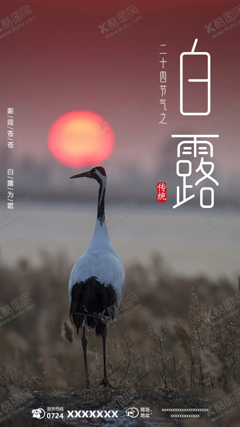 编号：20838306161924495976【酷图网】源文件下载-白露节气海报