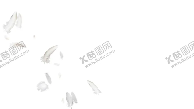 编号：35889702050222403905【酷图网】源文件下载-羽毛