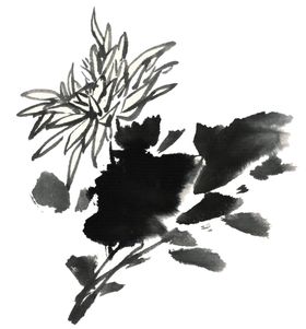 菊花装饰