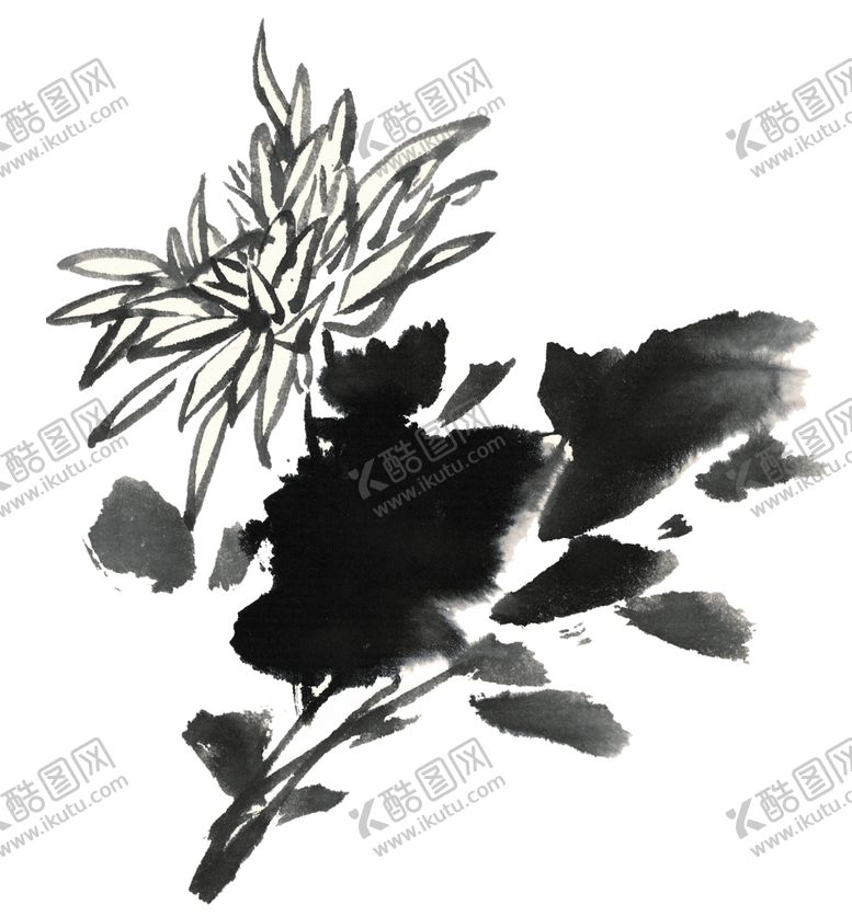 编号：84703805030303358913【酷图网】源文件下载-菊花装饰