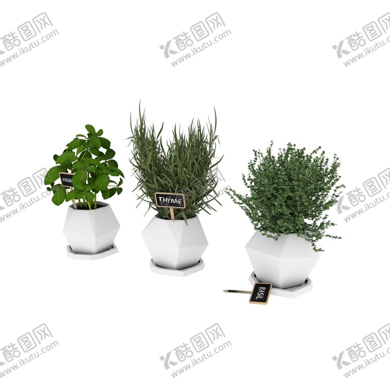 编号：69810901310604052182【酷图网】源文件下载-盆栽模型绿植模型