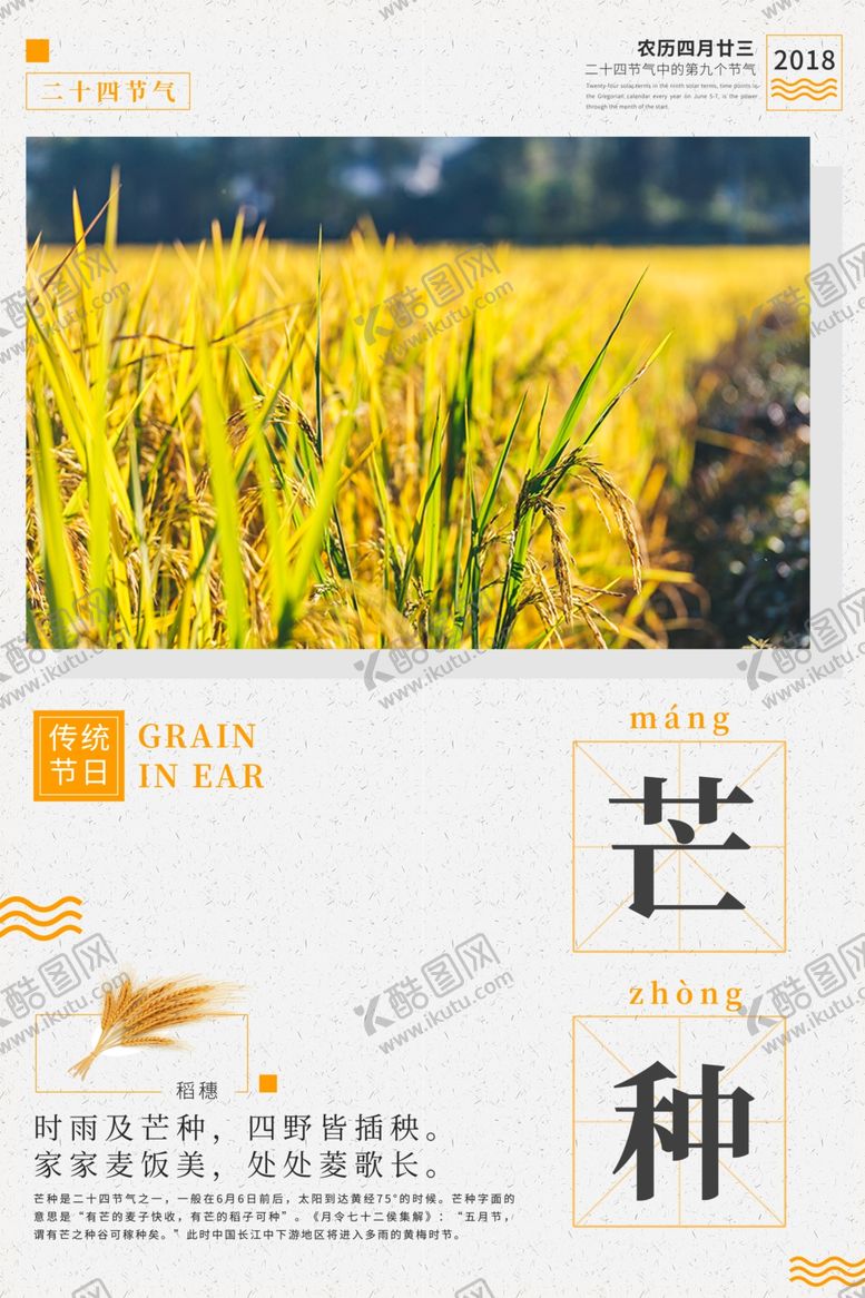编号：51069107130703095965【酷图网】源文件下载-芒种海报