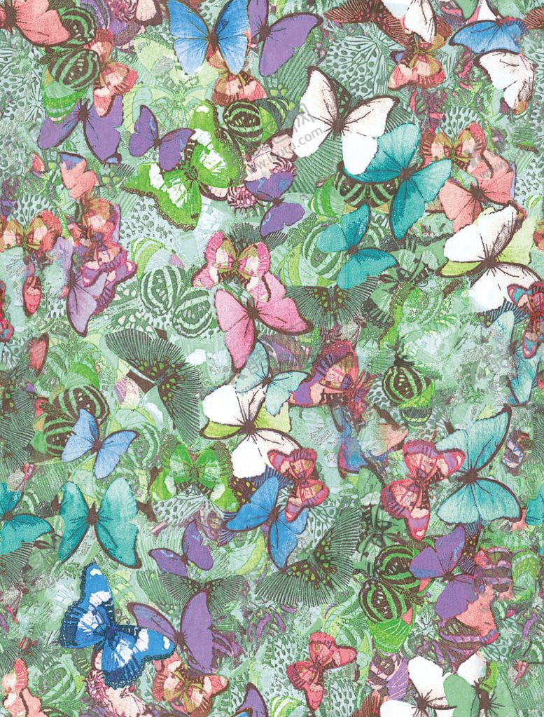 编号：49260209261540028340【酷图网】源文件下载-蝴蝶