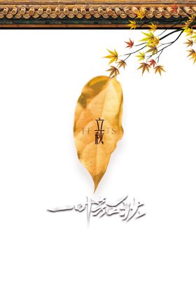 立秋素材一叶知24节气