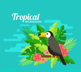 扁平化热带树叶和大嘴鸟矢量图