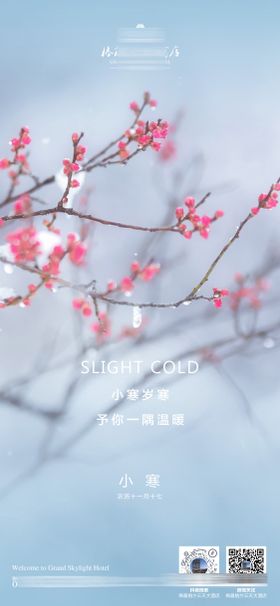 酒店小寒节气海报